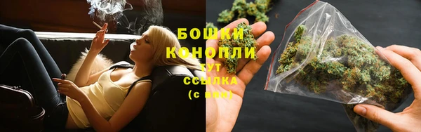 PSILOCYBIN Богородицк