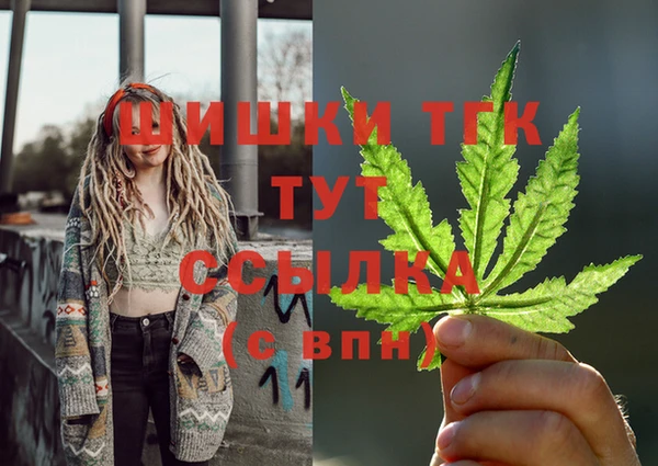 мдпв Богородск