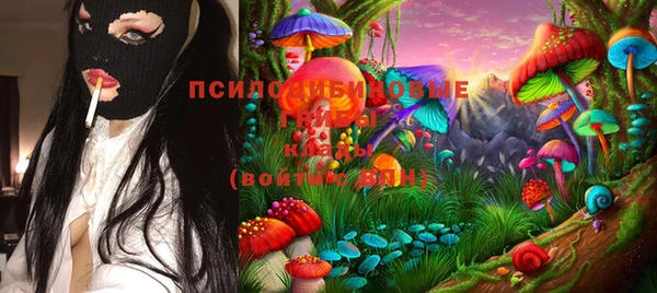 PSILOCYBIN Богородицк