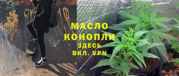 мдпв Богородск