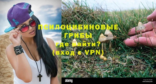 a pvp Богданович