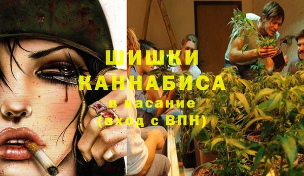 mix Белокуриха