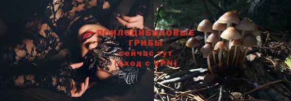 PSILOCYBIN Богородицк